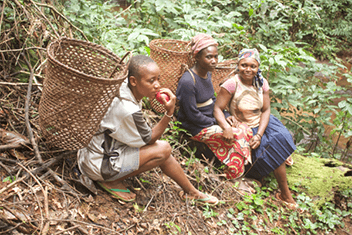 Groundbreaking report sends strong message to the EU on the forest crisis