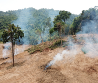 Ensuring EUDR benchmarking reflects human rights and environmental risks