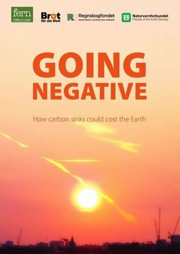 Going Negative - How carbon sinks could cost the Earth