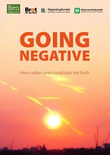Going Negative - How carbon sinks could cost the Earth