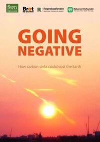 Going Negative - How carbon sinks could cost the Earth