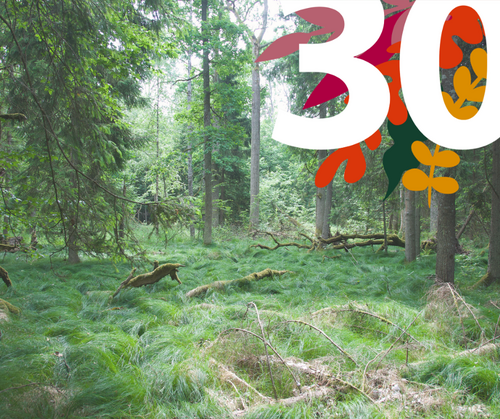 Three decades of protecting forests and rights