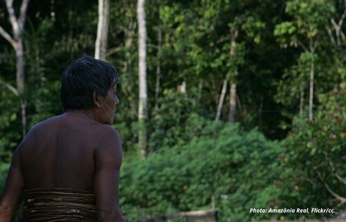 As Amazon deforestation rises, Europe resolves to act