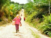 EU Regulation on deforestation-free products