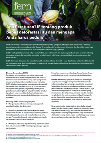 Apa Peraturan UE tentang produk bebas deforestasi itu dan mengapa Anda harus peduli?