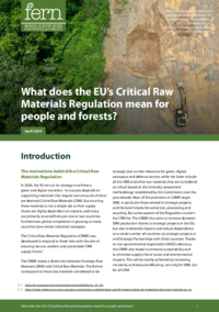 What does the EU’s Critical Raw Materials Regulation mean for people and forests?