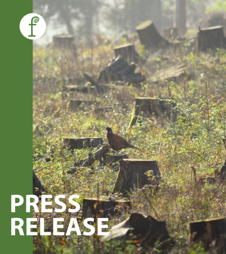 Press release: Delaying the EUDR sends a dreadful signal to the rest of the world