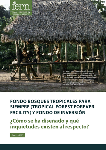Fondo Bosques Tropicales para Siempre (Tropical Forest Forever Facility) y Fondo de Inversión: ¿Cómo se ha diseñado y qué inquietudes existen al respecto?