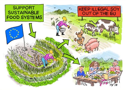 Civil society statement: EU Protein Plan for Europe - Please stand up for forests, people and animals!