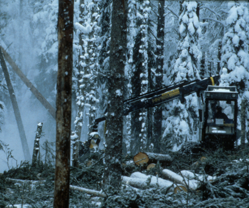 Finland’s forests: Why leave the fox in charge of the henhouse?