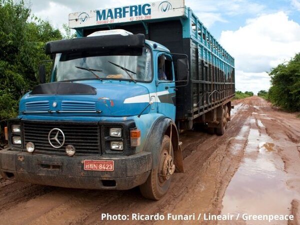 US: Using legislation to address human rights abuses and deforestation