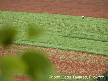 How can we stop European consumption destroying forests?