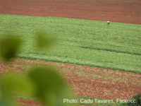 How can we stop European consumption destroying forests?