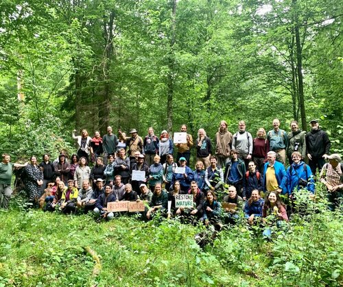 Over 60 forest NGOs call on MEPs to support an ambitious Nature Restoration Law