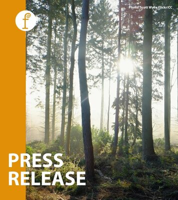 EU settles for a paper target to increase carbon absorption in its forest and land