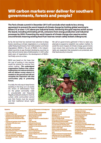 Will carbon markets ever deliver for southern government, forests and people?
