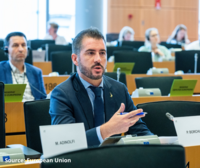 RED and LULUCF: EU Council prioritises the short-term interests of wood-based industries over the future of forests
