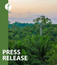 EU deforestation law integrity at risk, multistakeholder partnerships are critical