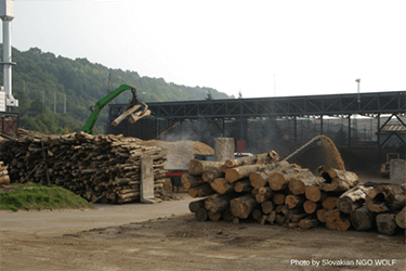 Citizens launch legal bid to stop damage caused by biomass