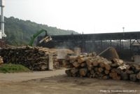 Citizens launch legal bid to stop damage caused by biomass