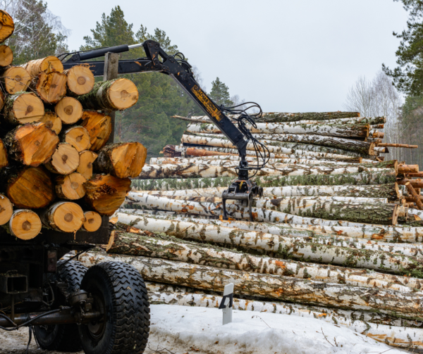 Blocking imports of Russia’s conflict timber is possible, and essential