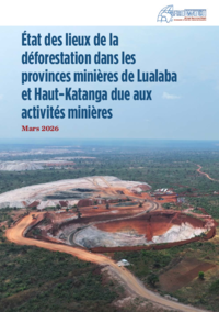 État des lieux de la déforestation dans les provinces minières de Lualaba et Haut-Katanga due aux activités minières