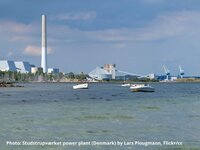 Danish state aid case illustrates Commission’s biomass blind spot