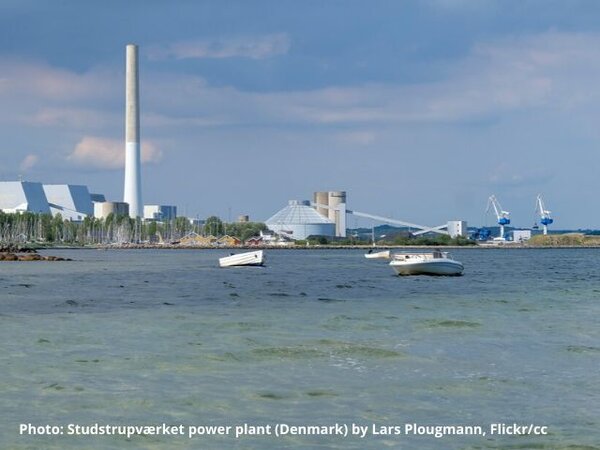 Danish state aid case illustrates Commission’s biomass blind spot