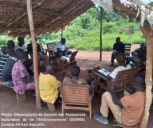 EU Deforestation Regulation must not ignore vital VPA lessons