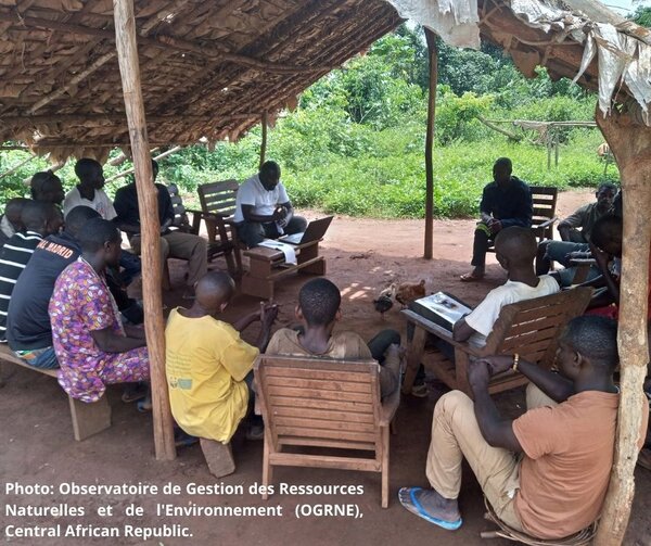 EU Deforestation Regulation must not ignore vital VPA lessons
