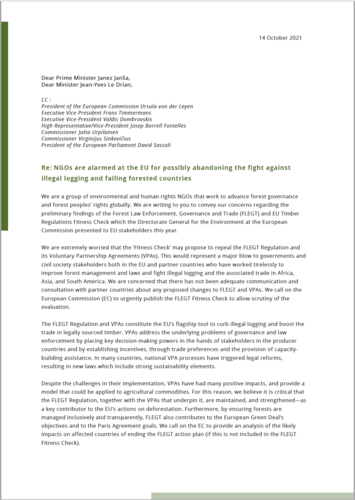 NGOs are alarmed at the EU for possibly abandoning the fight against illegal logging and failing forested countries