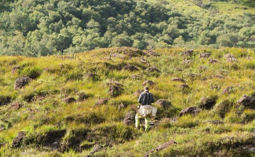 Putting down roots: The forest communities fighting climate change