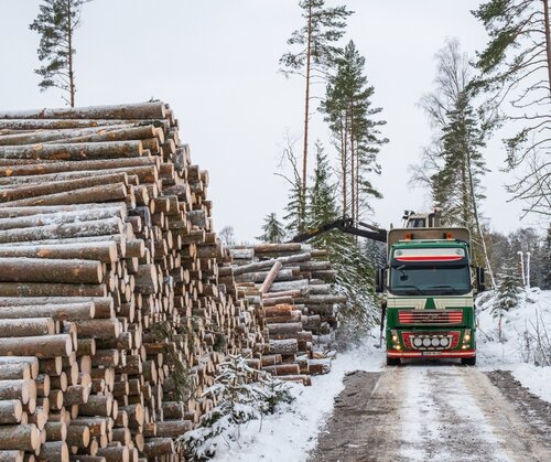 Given political inaction, commercial actors may be choosing to avoid forestry scandals