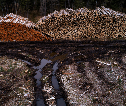 Infringing EU Competition rules? Selling off Estonia’s public forests at under-market prices