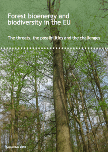 Forest bioenergy and biodiversity in the EU: The threats, the possibilities and the challenges