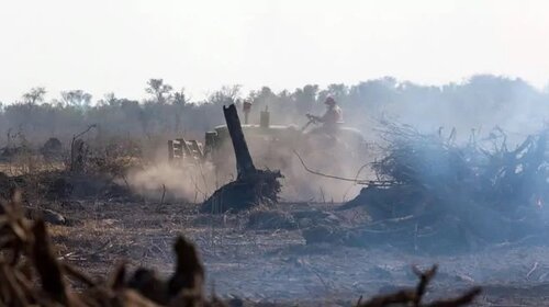 How Germany can break the link between EU meat consumption, deforestation and human suffering