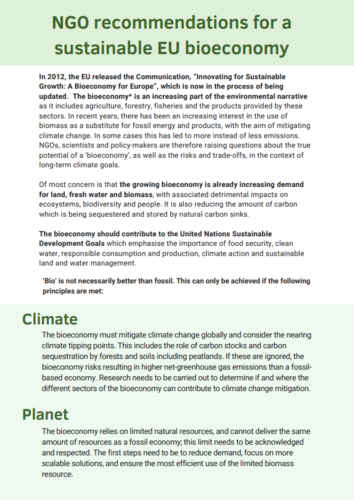 NGO recommendations for a sustainable EU bioeconomy