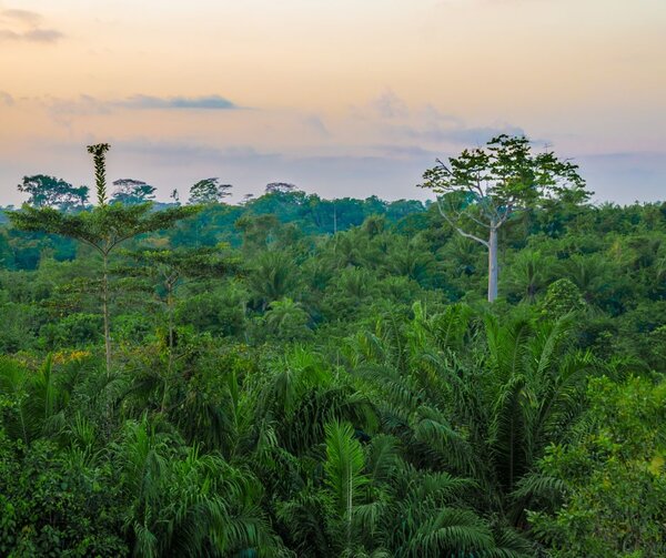 African communities are protesting against offsetting – but the Commission and UAE still rush to establish an African Carbon Market