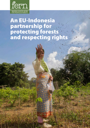 An EU-Indonesia partnership for protecting forests and respecting rights