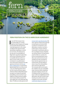 Fern position on the EU-Mercosur agreement