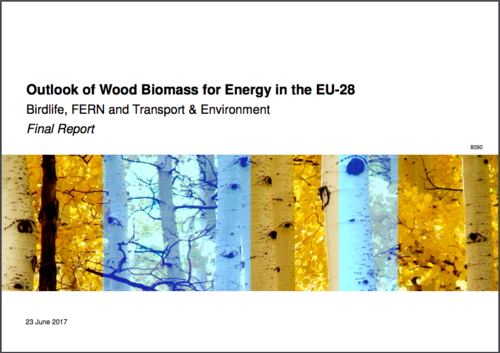 What impact has the Renewable Energy Directive had on EU forests?