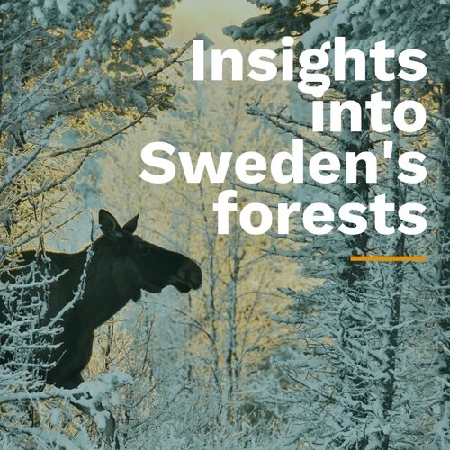 Insights into Sweden's forests