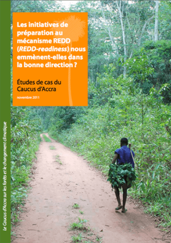 Is REDD-readiness taking us in the right direction?