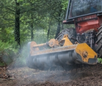 Safeguarding the climate and nature will help tackle future security threats