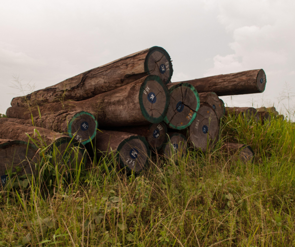 The VPA has been a catalyst for change in Liberia. The EU’s plan to abandon it threatens hard-won gains