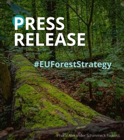European Parliament Own Initiative report on the EU Forest Strategy – nature loses, industry wins again