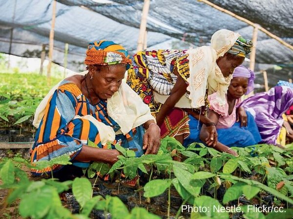Cocoa update: farmers in West Africa could benefit from higher cocoa prices; calls intensify for EU regulation