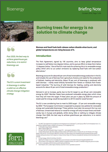 Die Verbrennung von Bäumen zum Energiegewinn ist keine Lösung gegen den Klimawandel