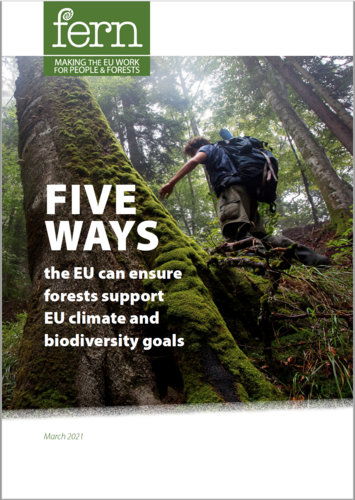 Five ways the EU can ensure forests support EU climate and biodiversity goals