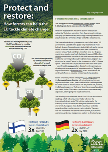 Protect and restore forest restoration human right based afforestation reforestation
